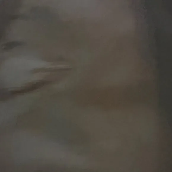 Publish Olive Jogger Pants - Picture 6 of 8